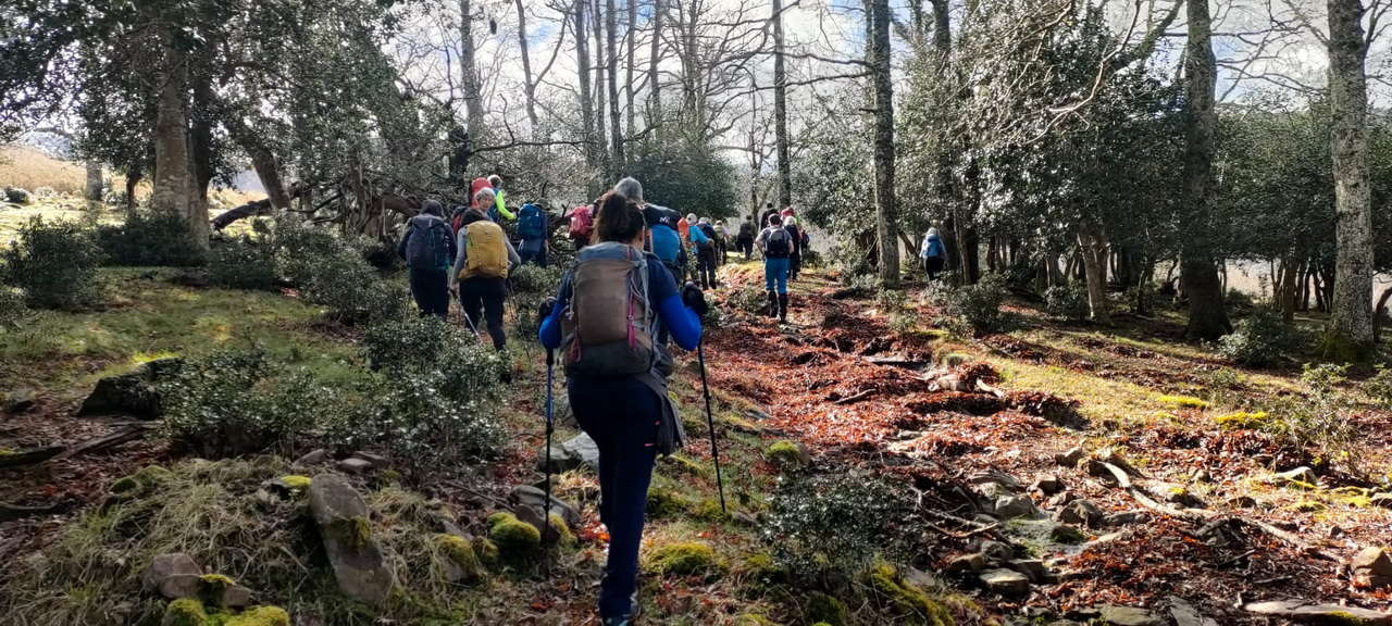 WhatsApp Image 2026-03-08 at 21.27.47 (1)